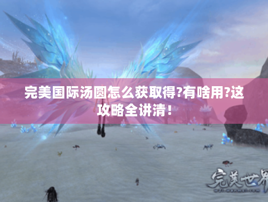 完美国际汤圆怎么获取得?有啥用?这攻略全讲清！