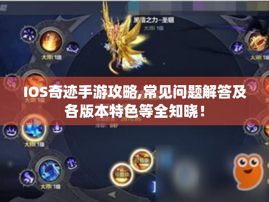 IOS奇迹手游攻略,常见问题解答及各版本特色等全知晓！