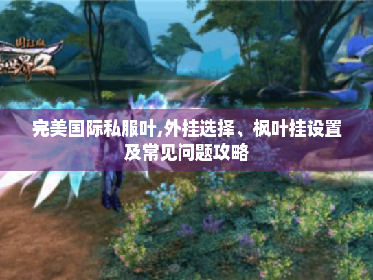 完美国际私服叶,外挂选择、枫叶挂设置及常见问题攻略