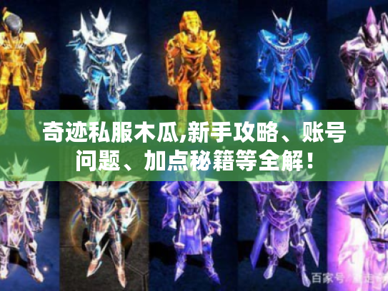 奇迹私服木瓜,新手攻略、账号问题、加点秘籍等全解！