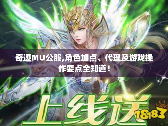 奇迹MU公服,角色加点、代理及游戏操作要点全知道！