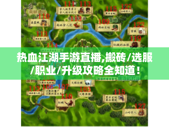 热血江湖手游直播,搬砖/选服/职业/升级攻略全知道！