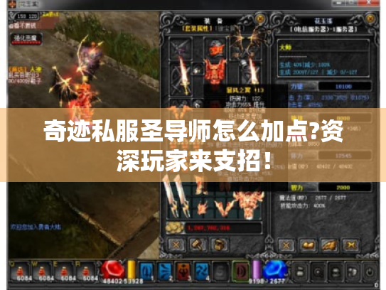 奇迹私服圣导师怎么加点?资深玩家来支招！