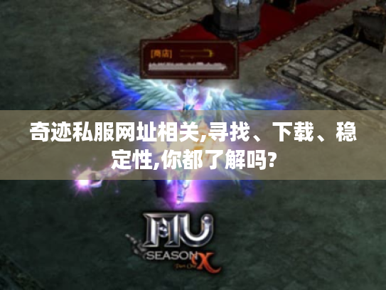 奇迹私服网址相关,寻找、下载、稳定性,你都了解吗?