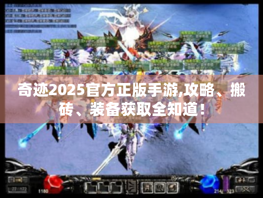 奇迹2025官方正版手游,攻略、搬砖、装备获取全知道！