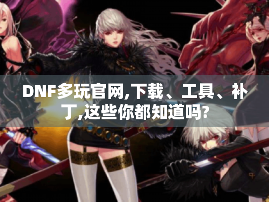 DNF多玩官网,下载、工具、补丁,这些你都知道吗?