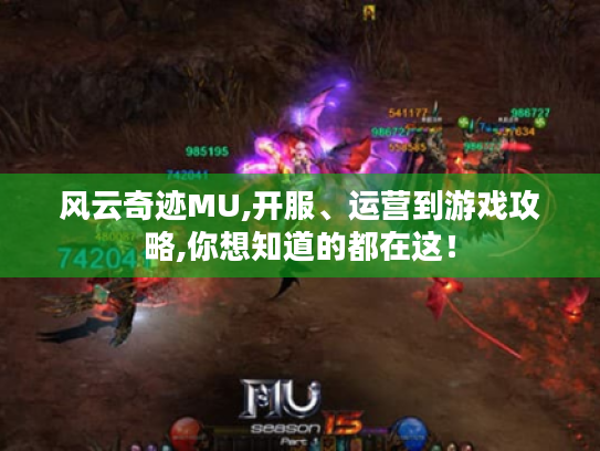 风云奇迹MU,开服、运营到游戏攻略,你想知道的都在这！