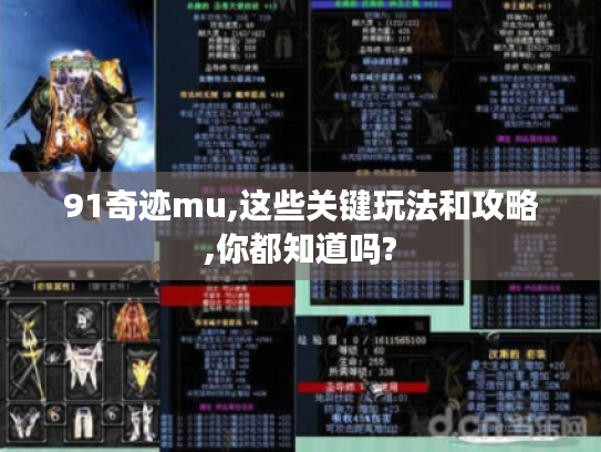 91奇迹mu,这些关键玩法和攻略,你都知道吗? 91奇迹mu,这些关键玩法和攻略,你都知道吗?