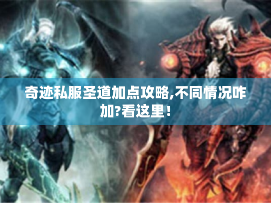 奇迹私服圣道加点攻略,不同情况咋加?看这里! 奇迹私服圣道加点攻略,不同情况咋加?看这里!