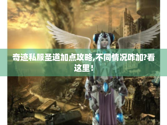 奇迹私服圣道加点攻略,不同情况咋加?看这里! 奇迹私服圣道加点攻略,不同情况咋加?看这里!