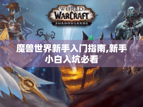 魔兽世界新手入门指南,新手小白入坑必看