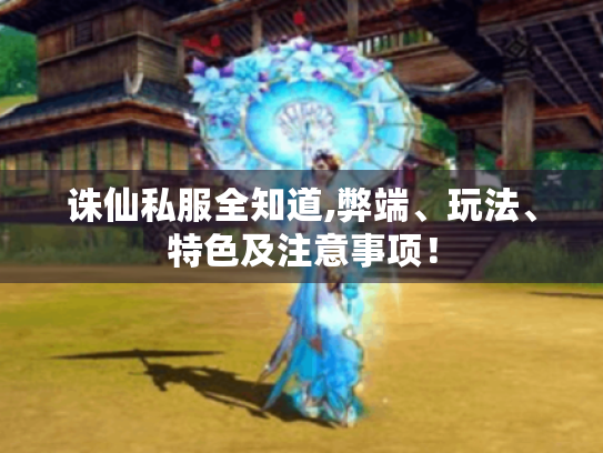 诛仙私服全知道,弊端、玩法、特色及注意事项！