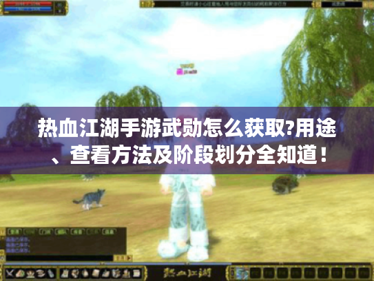 热血江湖手游武勋怎么获取?用途、查看方法及阶段划分全知道！