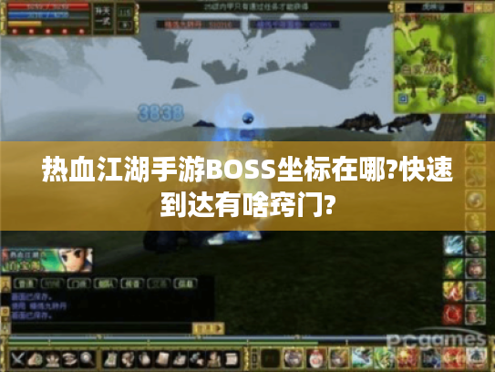 热血江湖手游BOSS坐标在哪?快速到达有啥窍门?