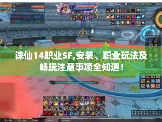 诛仙14职业SF,安装、职业玩法及畅玩注意事项全知道！
