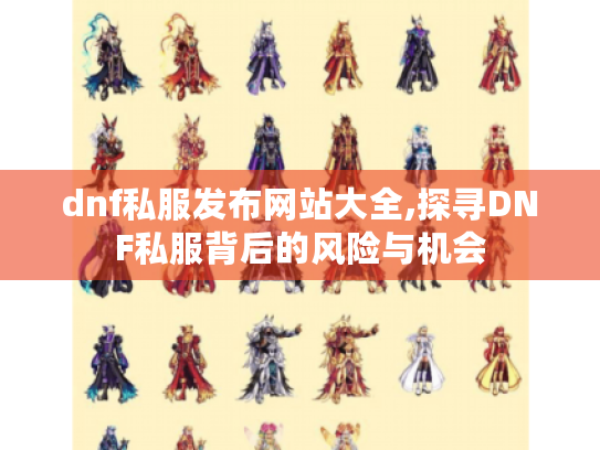 dnf私服发布网站大全,探寻DNF私服背后的风险与机会