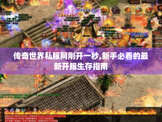 传奇世界私服网刚开一秒,新手必看的最新开服生存指南