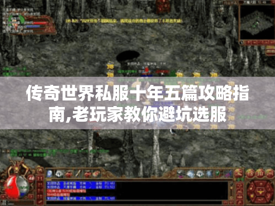 传奇世界私服十年五篇攻略指南,老玩家教你避坑选服 传奇世界私服十年五篇攻略指南,老玩家教你避坑选服