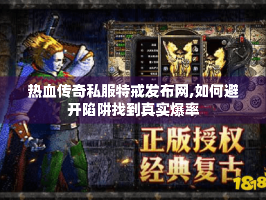 热血传奇私服特戒发布网,如何避开陷阱找到真实爆率