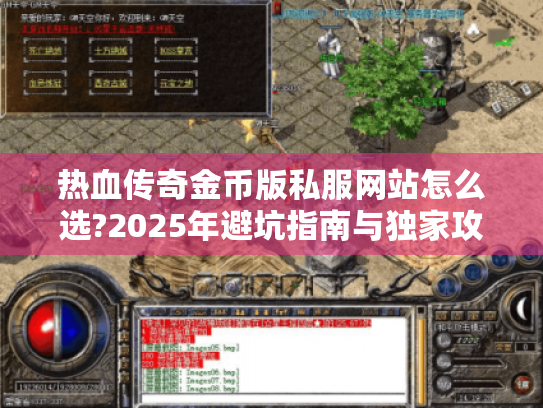 热血传奇金币版私服网站怎么选?2025年避坑指南与独家攻略
