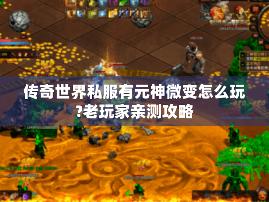 传奇世界私服有元神微变怎么玩?老玩家亲测攻略 传奇世界私服有元神微变怎么玩?老玩家亲测攻略