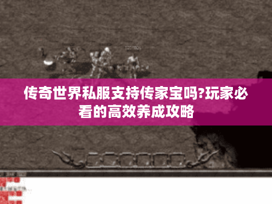 传奇世界私服支持传家宝吗?玩家必看的高效养成攻略
