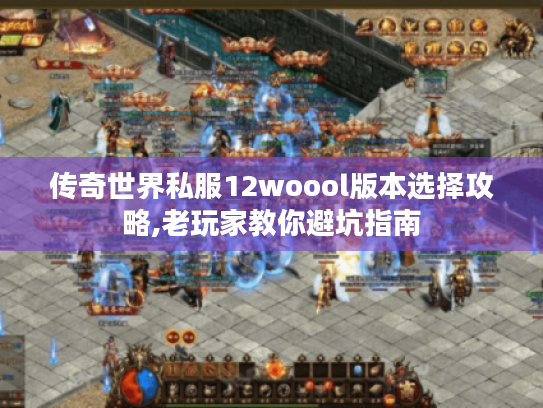 传奇世界私服12woool版本选择攻略,老玩家教你避坑指南