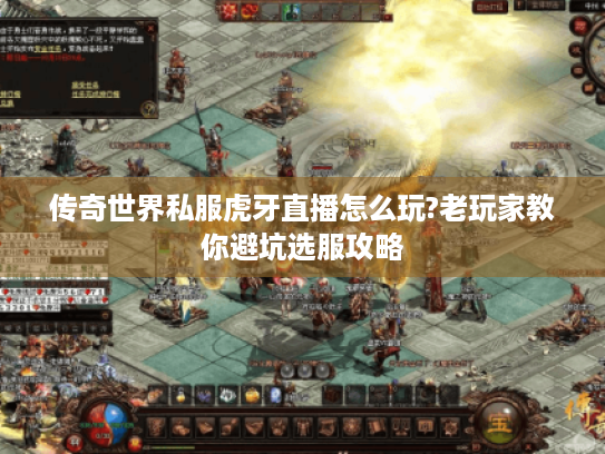 传奇世界私服虎牙直播怎么玩?老玩家教你避坑选服攻略