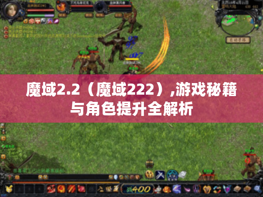 魔域2.2（魔域222）,游戏秘籍与角色提升全解析