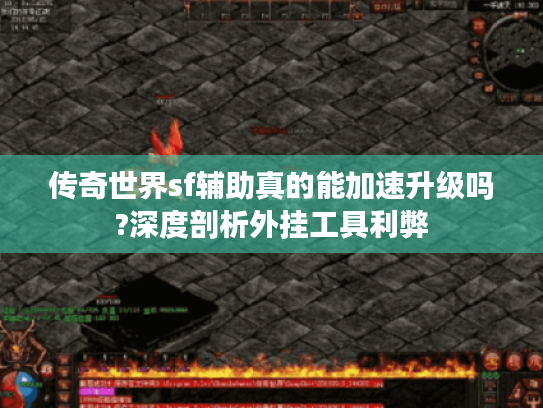 传奇世界sf辅助真的能加速升级吗?深度剖析外挂工具利弊