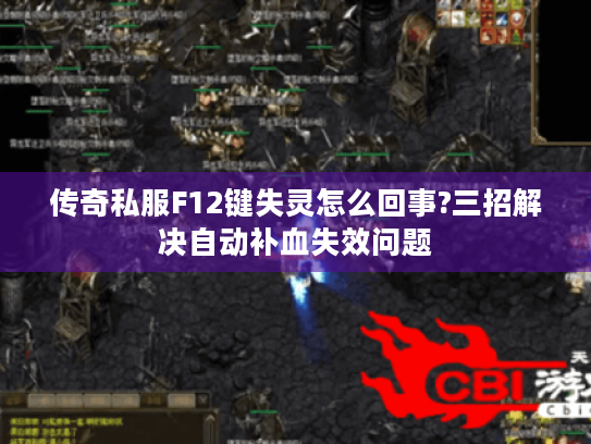 传奇私服F12键失灵怎么回事?三招解决自动补血失效问题