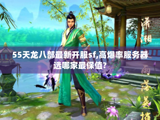 55天龙八部最新开服sf,高爆率服务器选哪家最保值?