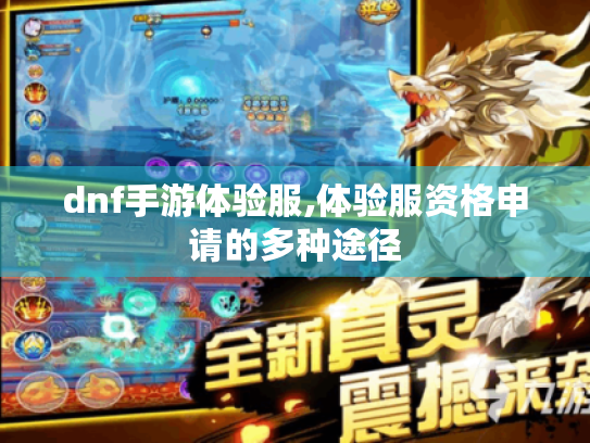 dnf手游体验服,体验服资格申请的多种途径
