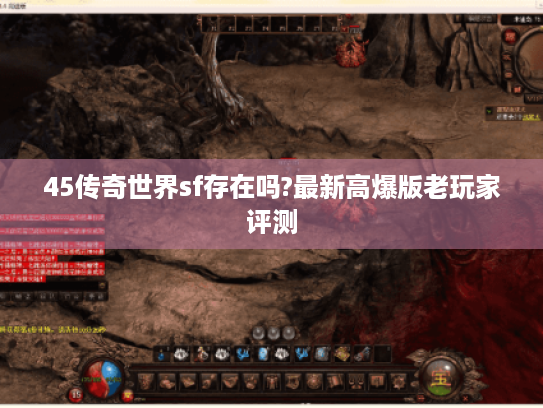 45传奇世界sf存在吗?最新高爆版老玩家评测