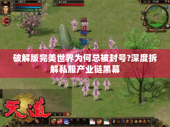 破解版完美世界为何总被封号?深度拆解私服产业链黑幕
