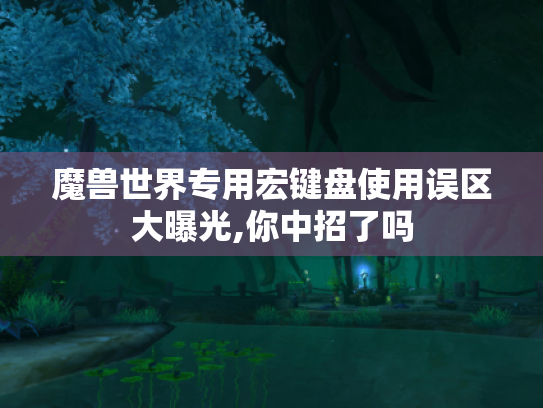 魔兽世界专用宏键盘使用误区大曝光,你中招了吗 魔兽世界专用宏键盘使用误区大曝光,你中招了吗