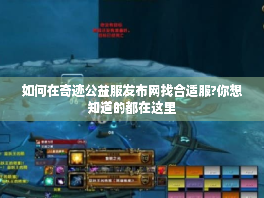 如何在奇迹公益服发布网找合适服?你想知道的都在这里