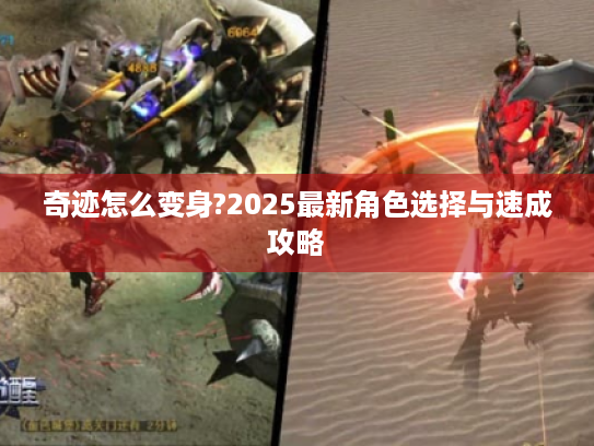 奇迹怎么变身?2025最新角色选择与速成攻略