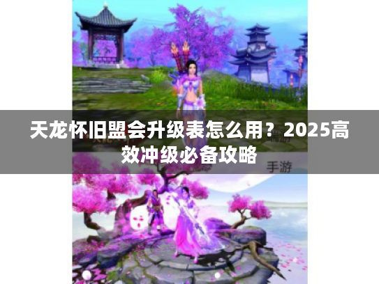 天龙怀旧盟会升级表怎么用？2025高效冲级必备攻略