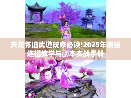 天龙怀旧武道玩家必读!2025年最强连招教学与副本实战手册 天龙怀旧武道玩家必读!2025年最强连招教学与副本实战手册