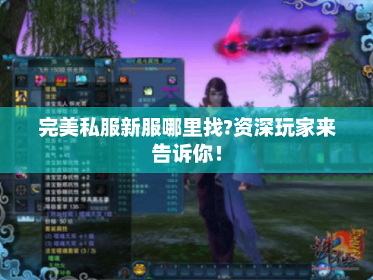 完美私服新服哪里找?资深玩家来告诉你！