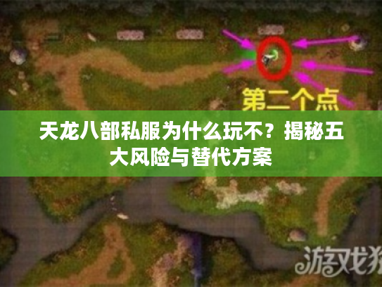 天龙八部私服为什么玩不？揭秘五大风险与替代方案