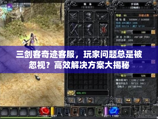 三剑客奇迹客服，玩家问题总是被忽视？高效解决方案大揭秘