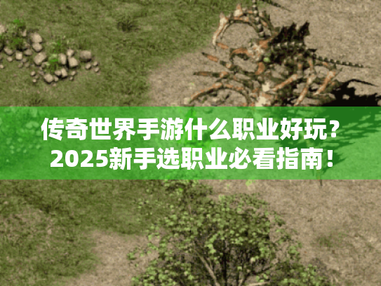 传奇世界手游什么职业好玩?2025新手选职业必看指南! 传奇世界手游什么职业好玩?2025新手选职业必看指南!