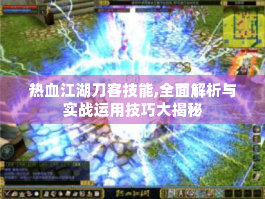 热血江湖刀客技能,全面解析与实战运用技巧大揭秘