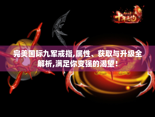 完美国际九军戒指,属性、获取与升级全解析,满足你变强的渴望！