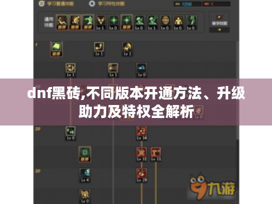 dnf黑砖,不同版本开通方法、升级助力及特权全解析