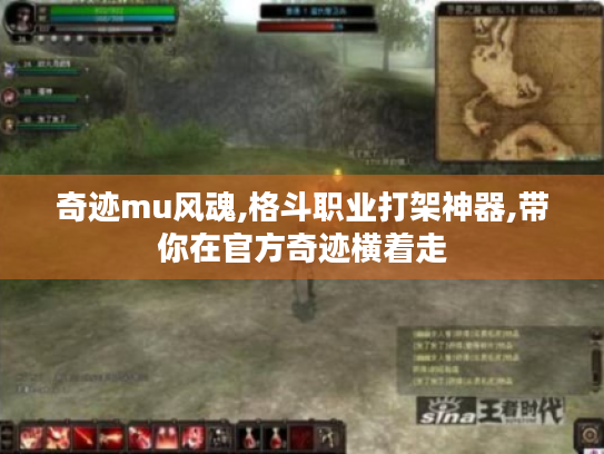 奇迹mu风魂,格斗职业打架神器,带你在官方奇迹横着走 奇迹mu风魂,格斗职业打架神器,带你在官方奇迹横着走