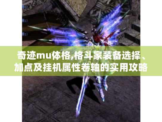 奇迹mu体格,格斗家装备选择、加点及挂机属性卷轴的实用攻略 奇迹mu体格,格斗家装备选择、加点及挂机属性卷轴的实用攻略