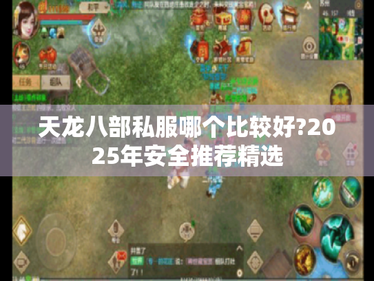 天龙八部私服哪个比较好?2025年安全推荐精选
